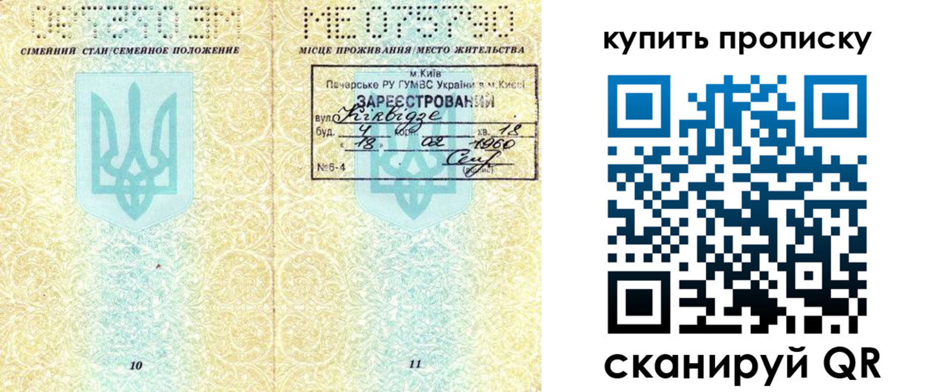 миграционный учет в Димитровграде