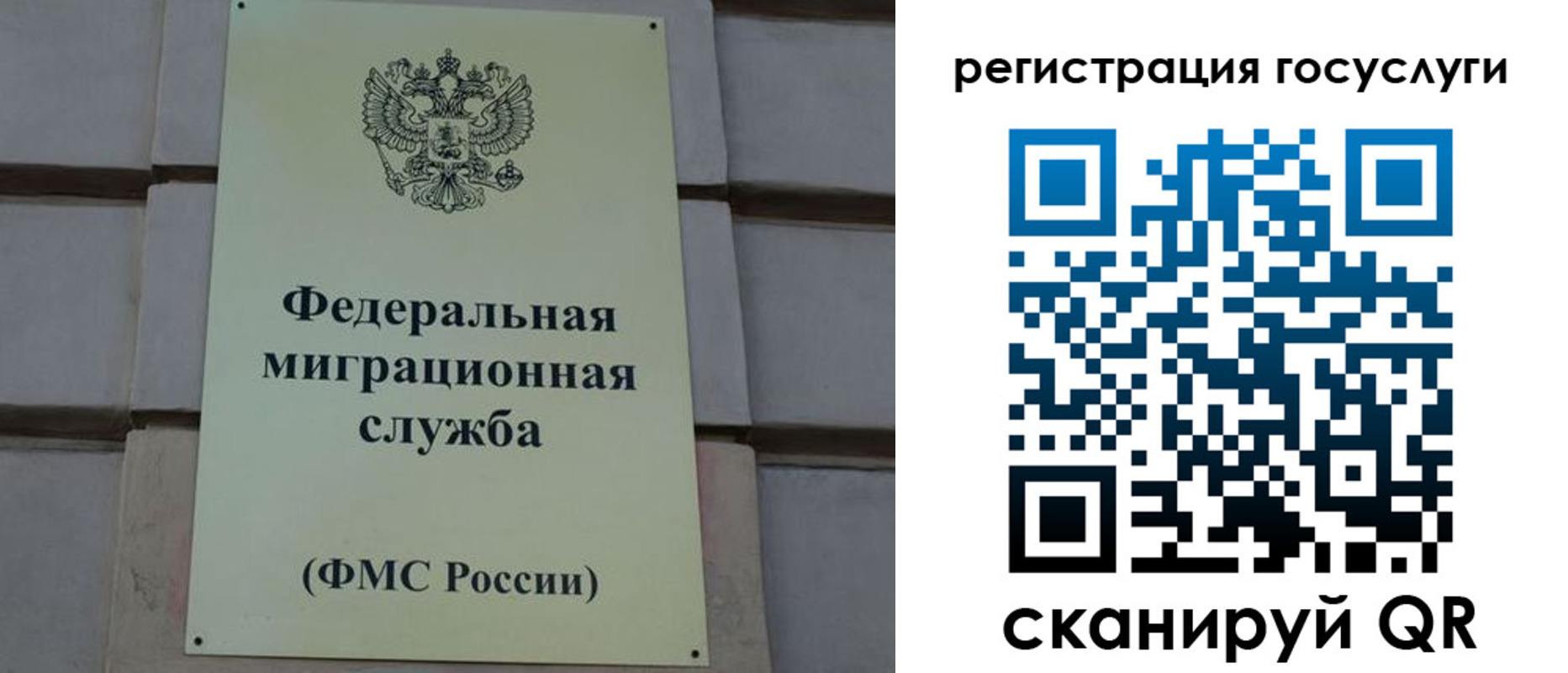 временная регистрация поиск в Димитровграде